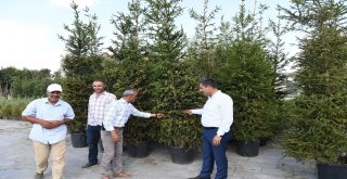 Başkan Asya, Göletli Parkta İncelemelerde Bulundu