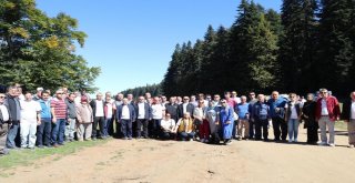 Düzceliler Doğa Yürüyüşünde