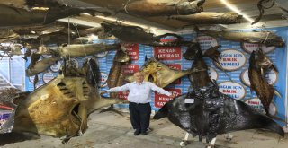 41 Tonluk Balık Müzesi Kışa Hazır