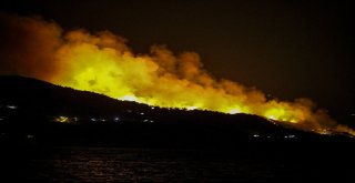Sisam Adasında Yangın