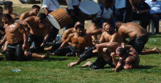 5. Uluslararası Altın Biber Festivali, Rüstem Pehlivan Yağlı Güreşleri İle Başladı