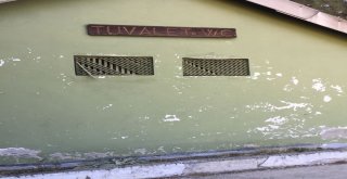 Uludağda Tuvalet Krizi