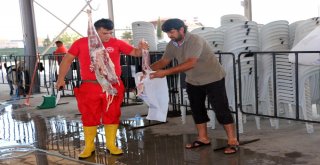 Büyükşehirden Ücretsiz Kurban Kesimi