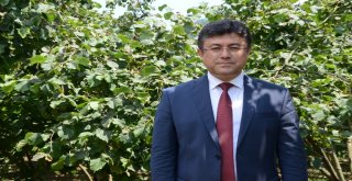 Gübretaş Model Bahçe Uygulamasında Rekor Fındık