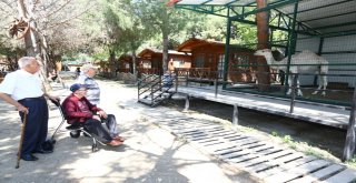 Huzurevi Sakinlerinin İznik Keyfi