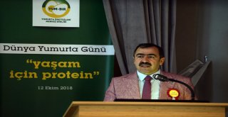 Dünya Yumurta Günü Yaşam İçin Protein Teması İle Kutlandı