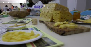 Doğu Anadolunun Birbirinden Lezzetli Peynirleri Bitliste Buluştu