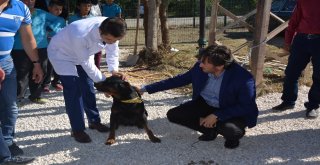 Sokak Hayvanları Rehabilitasyon Merkezi Açıldı