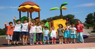 Adapazarı  Belediyesinden 5 Yılda 490 Sosyal Alan, 10 Milyon Tl Yatırım