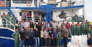 820 Kasa Hamsi Tuttular