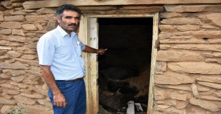 Sıcaktan Sığındıkları Kulübede Telef Oldular