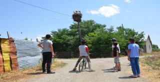 Leylekler Köyün Sembolü Haline Geldi