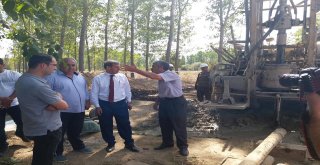 Eynal Kaplıcaları Seralarında Kış Hazırlığı