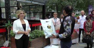 Kozyatağında Sokak Hayvanları  Artık Esnafa Emanet