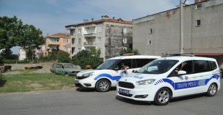 Karayolunda Başıboş Hayvanlar Trafiği Tehlikeye Düşürdü