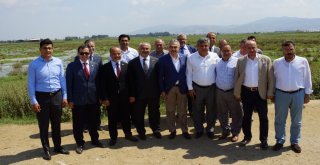 Vali Köşger ‘Serbest Bölge” İçin Yer İncelemesinde Bulundu