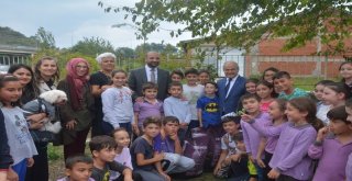 Okul Bahçelerine Ve Mahallelere Köpek Evleri