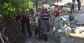 Hatayda Kaybolan Küçük Ufuk Özel Köpeklerle Aranıyor