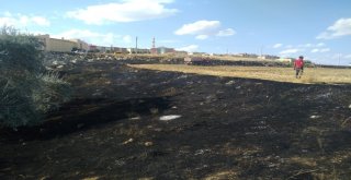 Kuru Otları Yakmak İsterken Araziyi Yaktı