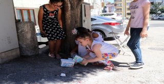 Miniklerden Sokak Hayvanları İçin Anlamlı Proje