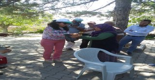 Kene İle Mücadele İçin Köylülere Beç Tavuğu Dağıtıldı