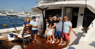 Ünlü İş Adamlarının Katıldığı Balık Turnuvasında 118 Kiloluk Orkinos Tutuldu