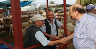 Başkan Özakcan Hayvan Pazarında Vatandaşlarla Buluştu