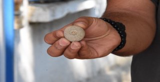 Maydos Kilisetepe Höyüğünde 4 Bin Yıllık Ağırşak Bulundu