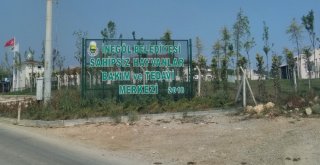 Bursada Bu Kadarı Da Olmaz Dedirten Olay