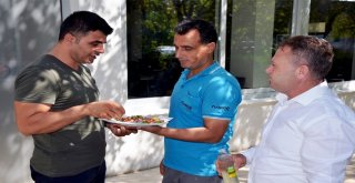 Dicle Elektrik Mesainin İlk Gününe Bayramlaşmayla Başladı