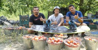 Tarladan Türkiye Şampiyonasına