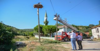 Leylek Yavrularına İtfaiye Merdiveniyle Özel Besleme