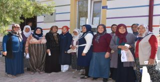 Fatma Çolakbayrakdar, Elmalı Ve Bayramhacı Mahallelerini Ziyaret Etti