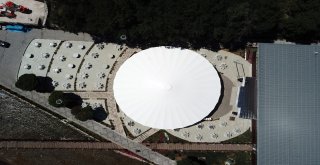 Türkiyenin En Büyük Şemsiyesi Gümüşhanede