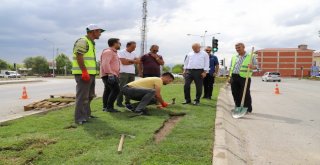 Başsoy: Türkiyenin En Yeşil Şehirlerinden Biri Olma Yolunda İlerliyoruz