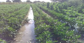 Boru Patladı, Mahsuller Su İçinde Yüzdü