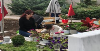 Üsteğmen Ustayı Şehit Eden Teröristler Yakalandı, Ailesi Şehidin Kabrine Koştu