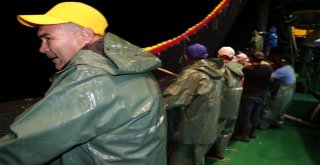 Yalova Ve Bursada Balıkçılar Vira Bismillah Dedi Kasalar Hamsiyle Doldu