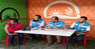 Podyuma Bu Defa Buzağılar Çıktı