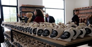 Geyve Ayvası Dünya Markası Olacak