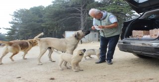 (Özel Haber) Bir Çok Kişi Öldürmeye, O Yaşatmaya Çalışıyor