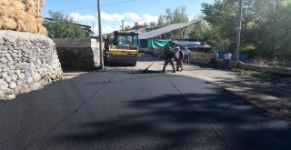 Yakutiyede Son İki Köy Kaldı