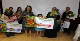 Gazipaşayı Ayşe Ergün Temsil Edecek