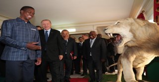 Cumhurbaşkanı Erdoğan, Zambiyalı Mevkidaşı İle Görüştü