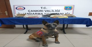 Çankırıda 9 Kilo Toz Esrar Ele Geçirildi