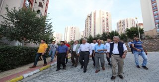 Başkan Karaosmanoğlu, “Dostluk Siteleri Kurduk”