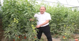 Erzincanda Sera Yatırımları Devam Ediyor