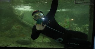 Hayvanat Bahçesindeki Dev Akvaryumlarda Bayram Temizliği