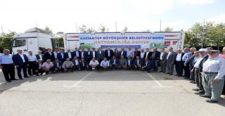 Büyükşehir Buğday Ve Arpa Tohumu Dağıttı