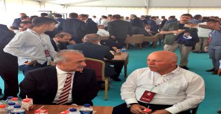 Atatürk Üniversitesi Malazgirtte